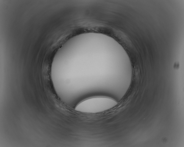 X0000093521060200710121123