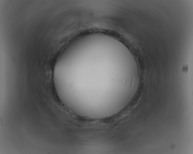 X0000093521061200710121123