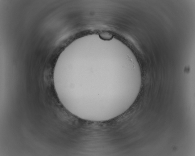 X0000093521063200710121123