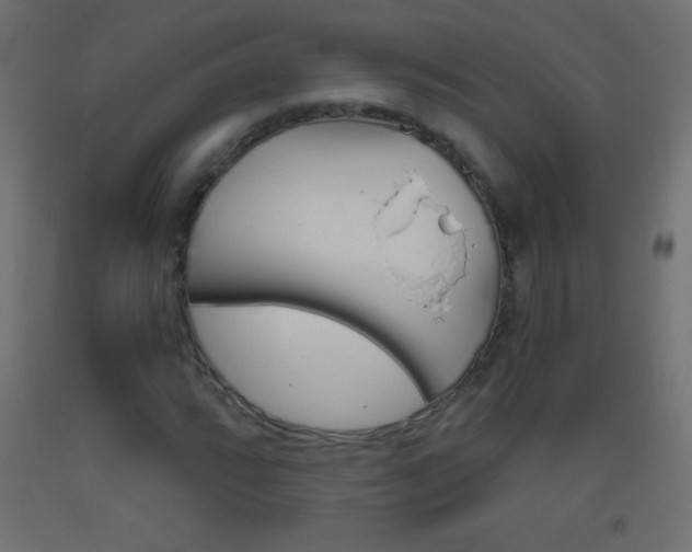 X0000093521064200710121123