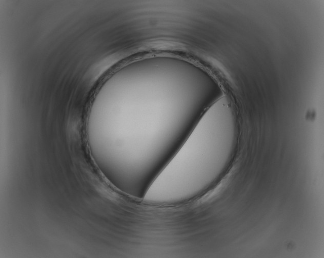X0000093521065200710121123