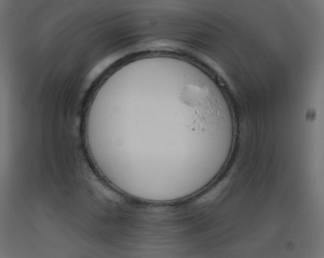 X0000093521066200710121123