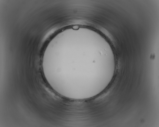 X0000093521067200710121123