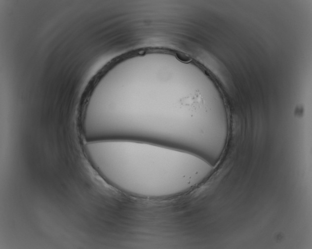 X0000093521068200710121123