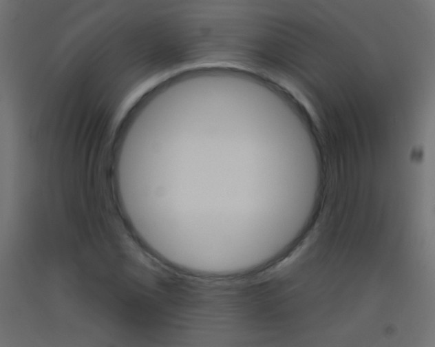 X0000093521069200710121123