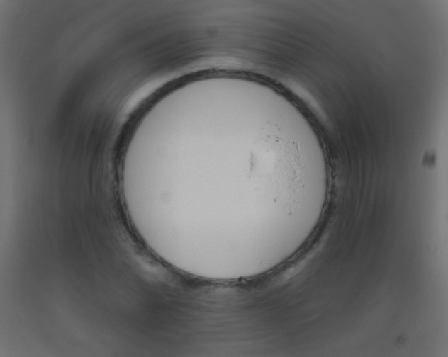 X0000093521070200710121123