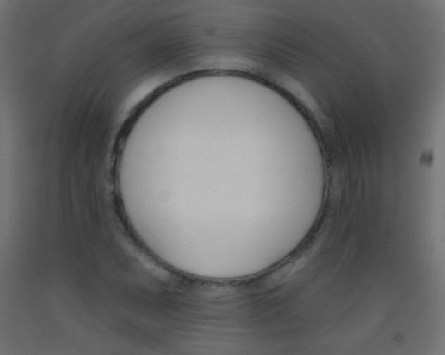 X0000093521071200710121123