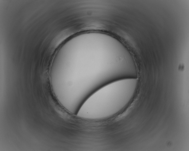 X0000093521073200710121123
