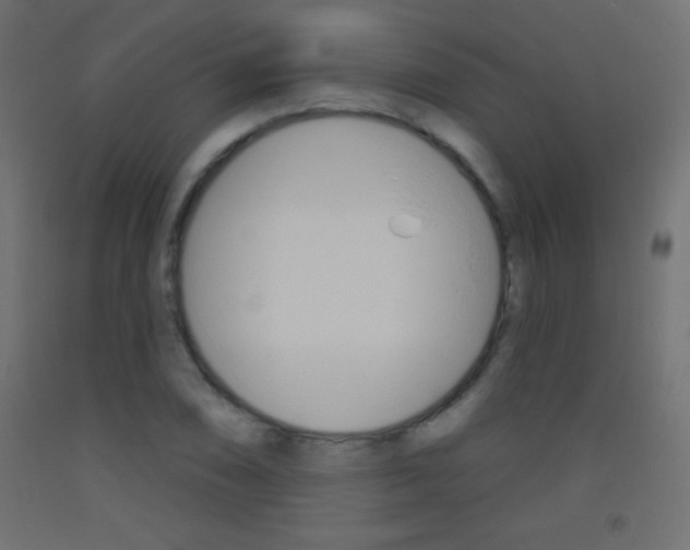 X0000093521074200710121123