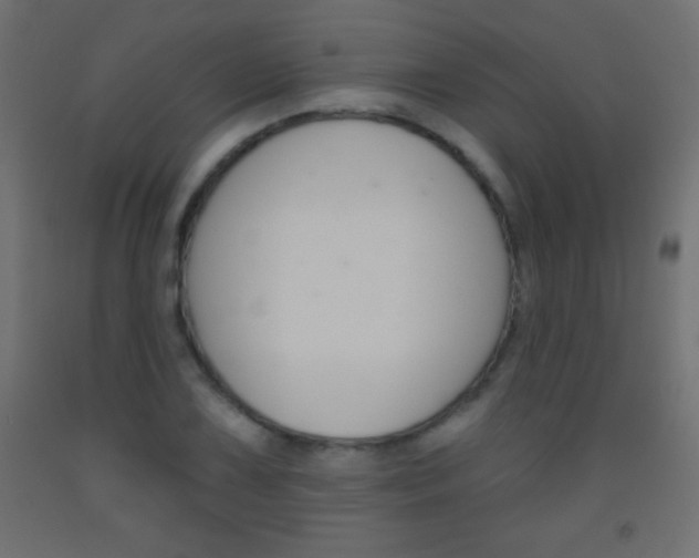 X0000093521075200710121123