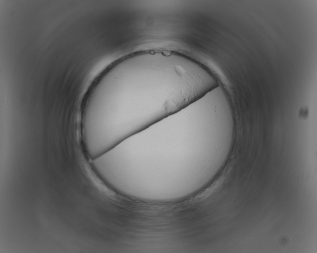 X0000093521079200710121123
