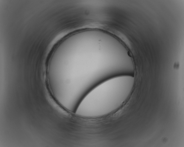 X0000093521080200710121123