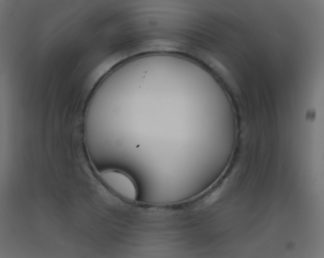 X0000093521081200710121123