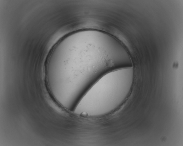 X0000093521082200710121123