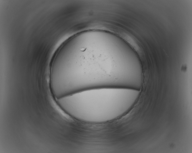 X0000093521084200710121123