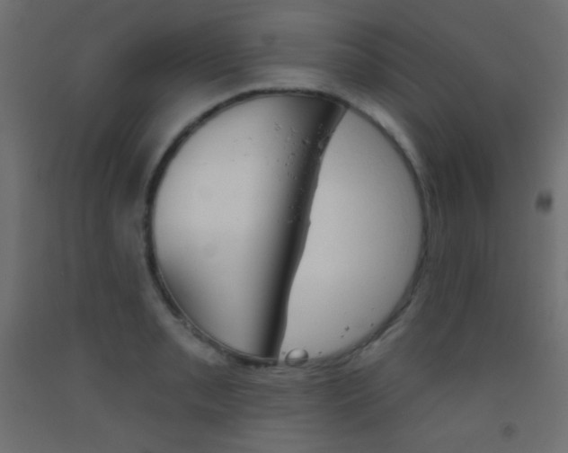 X0000093521085200710121123