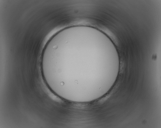 X0000093521086200710121123