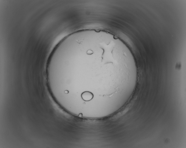 X0000093521087200710121123
