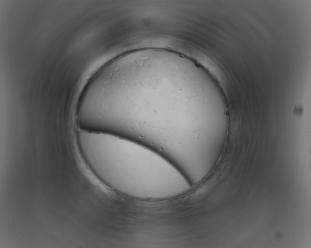 X0000093521088200710121123