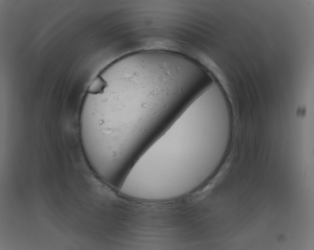 X0000093521089200710121123