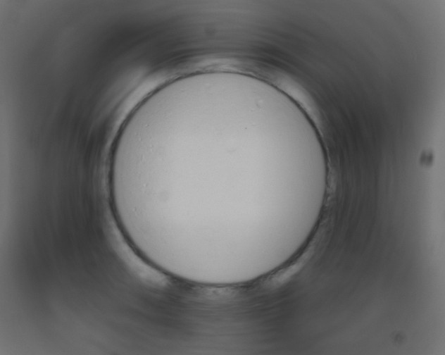 X0000093521090200710121123