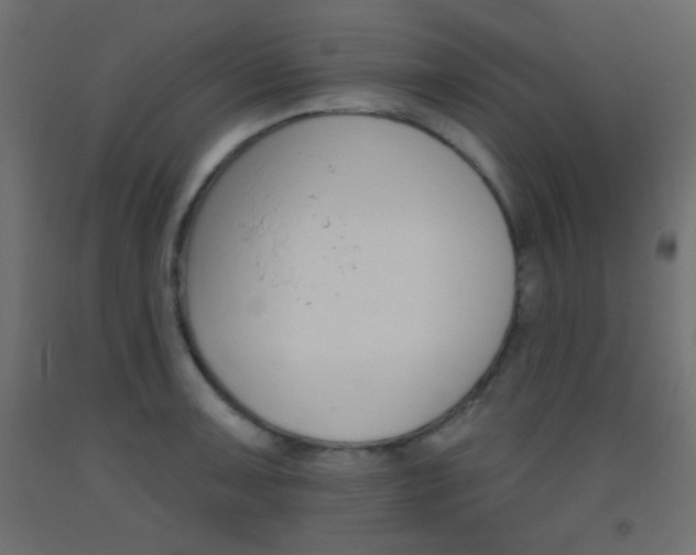 X0000093521091200710121123