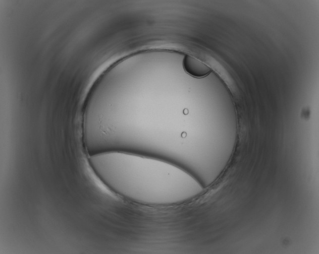 X0000093521092200710121123