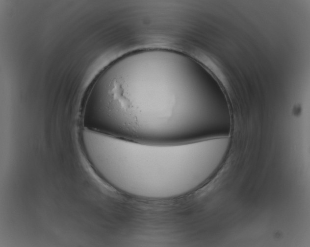 X0000093521093200710121123
