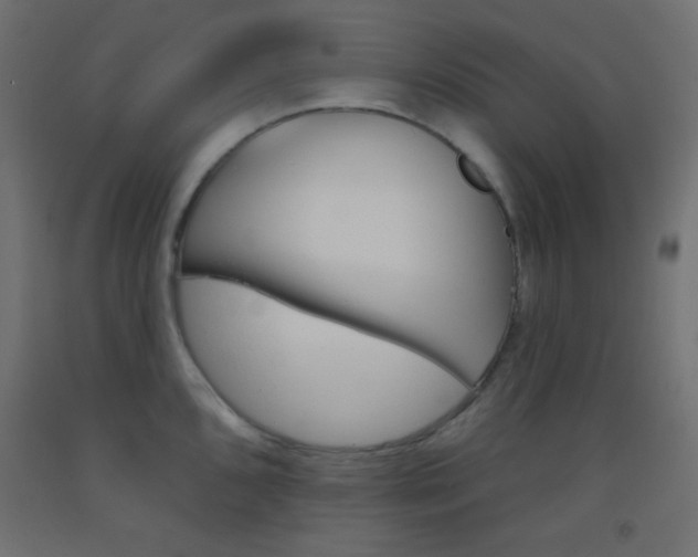 X0000093521096200710121123