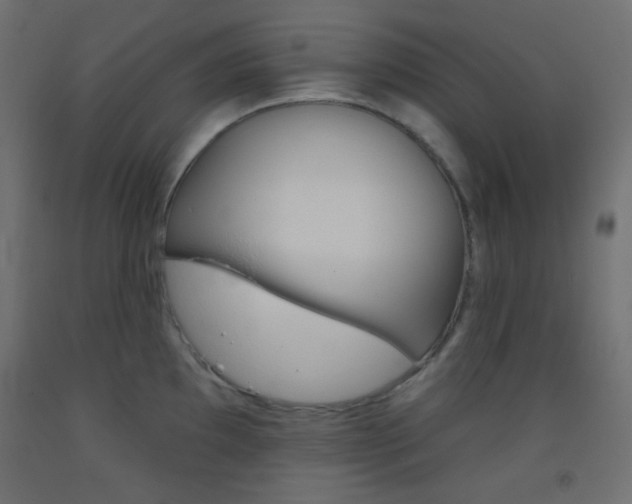 X0000093521097200710121123