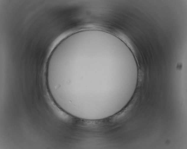 X0000093521098200710121123