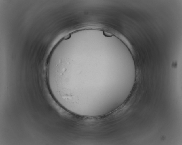 X0000093521099200710121123