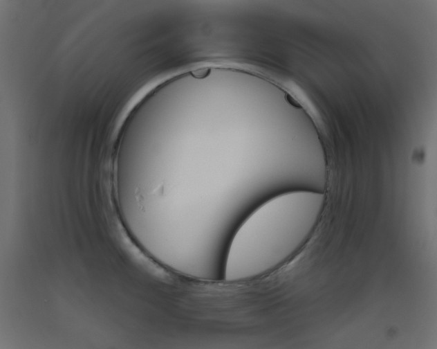 X0000093521100200710121123