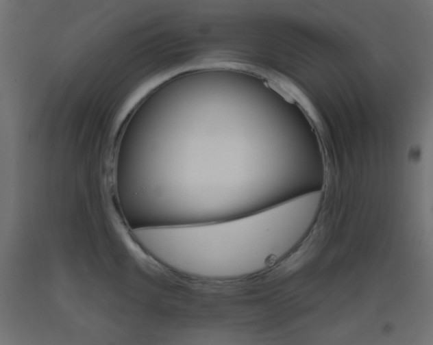 X0000093521101200710121123