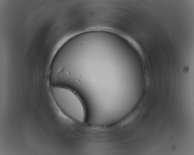 X0000093521102200710121123