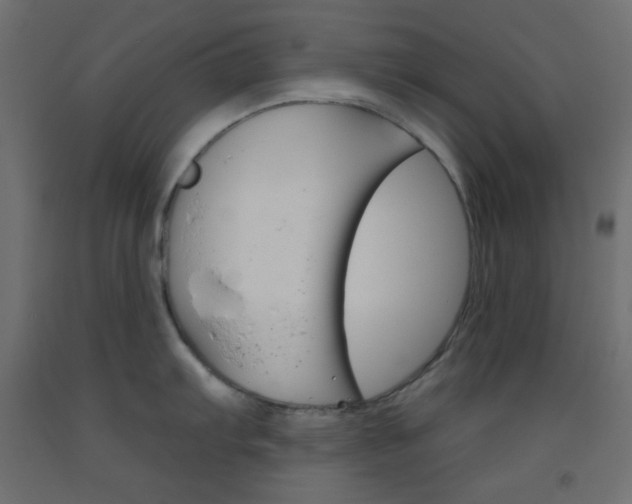 X0000093521103200710121123