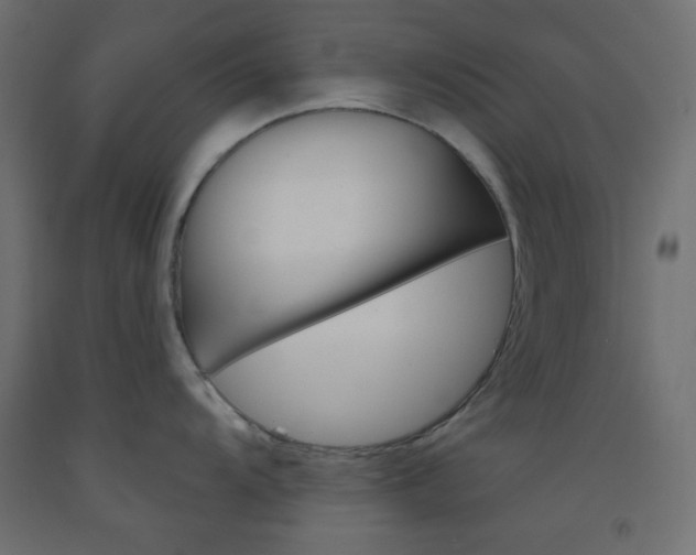 X0000093521104200710121123