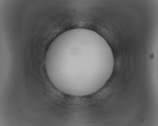 X0000093521105200710121122