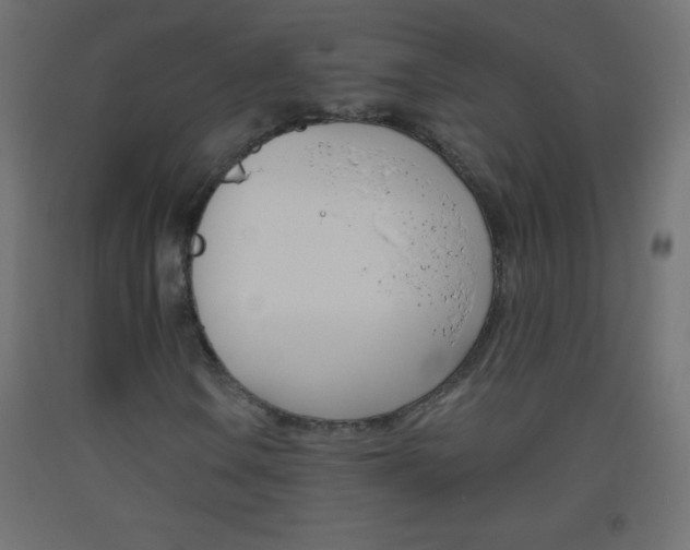 X0000093521106200710121122