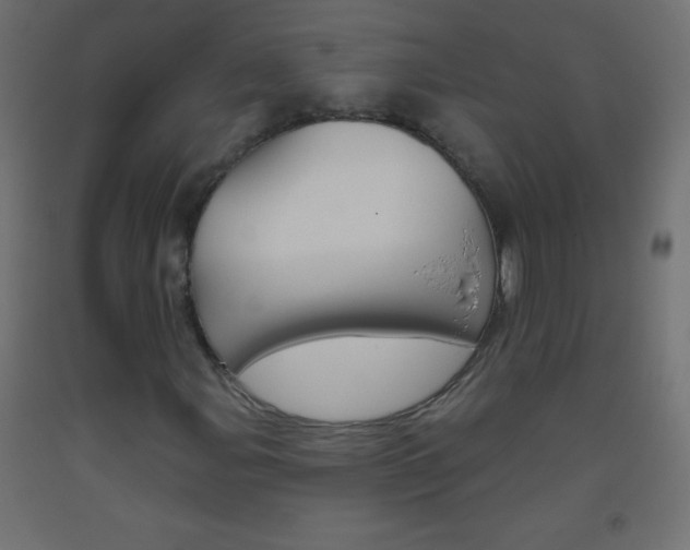 X0000093521107200710121122