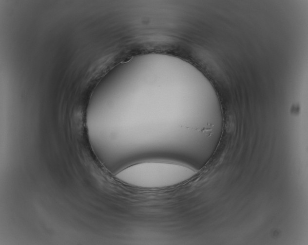 X0000093521108200710121122
