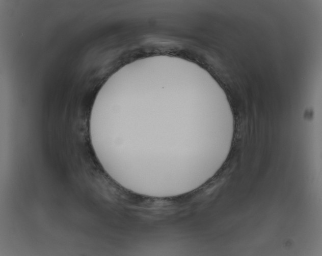 X0000093521109200710121122