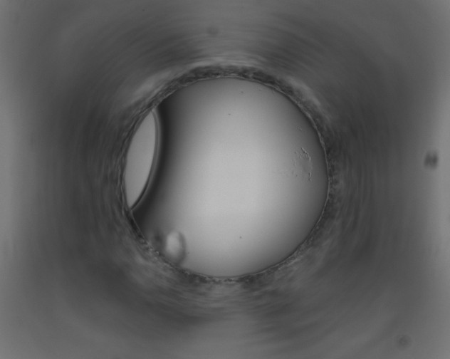 X0000093521110200710121122