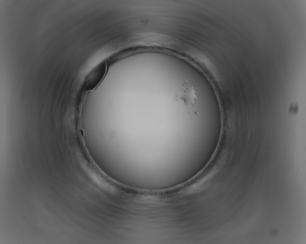 X0000093521114200710121122