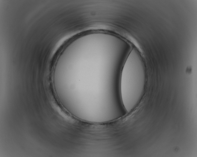 X0000093521116200710121122
