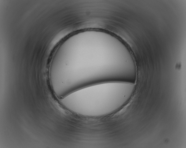 X0000093521119200710121122