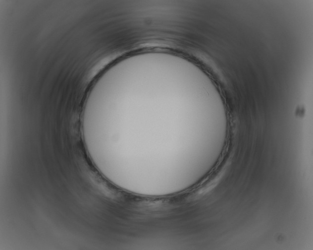X0000093521121200710121122