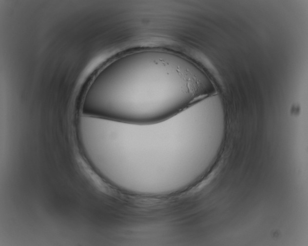 X0000093521122200710121122