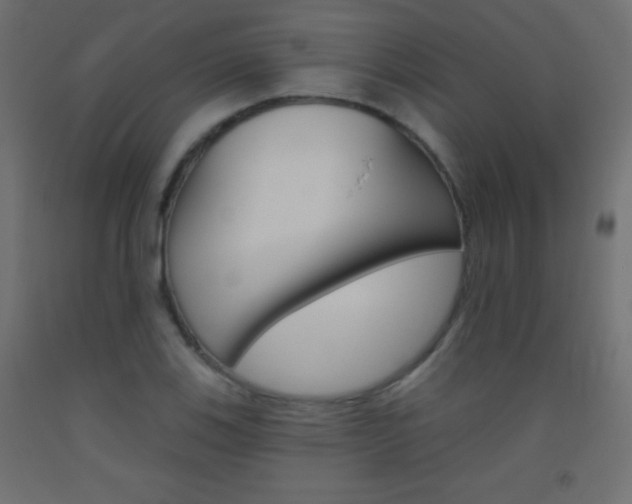 X0000093521123200710121122