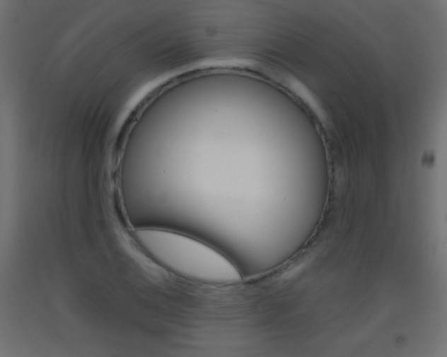 X0000093521124200710121122